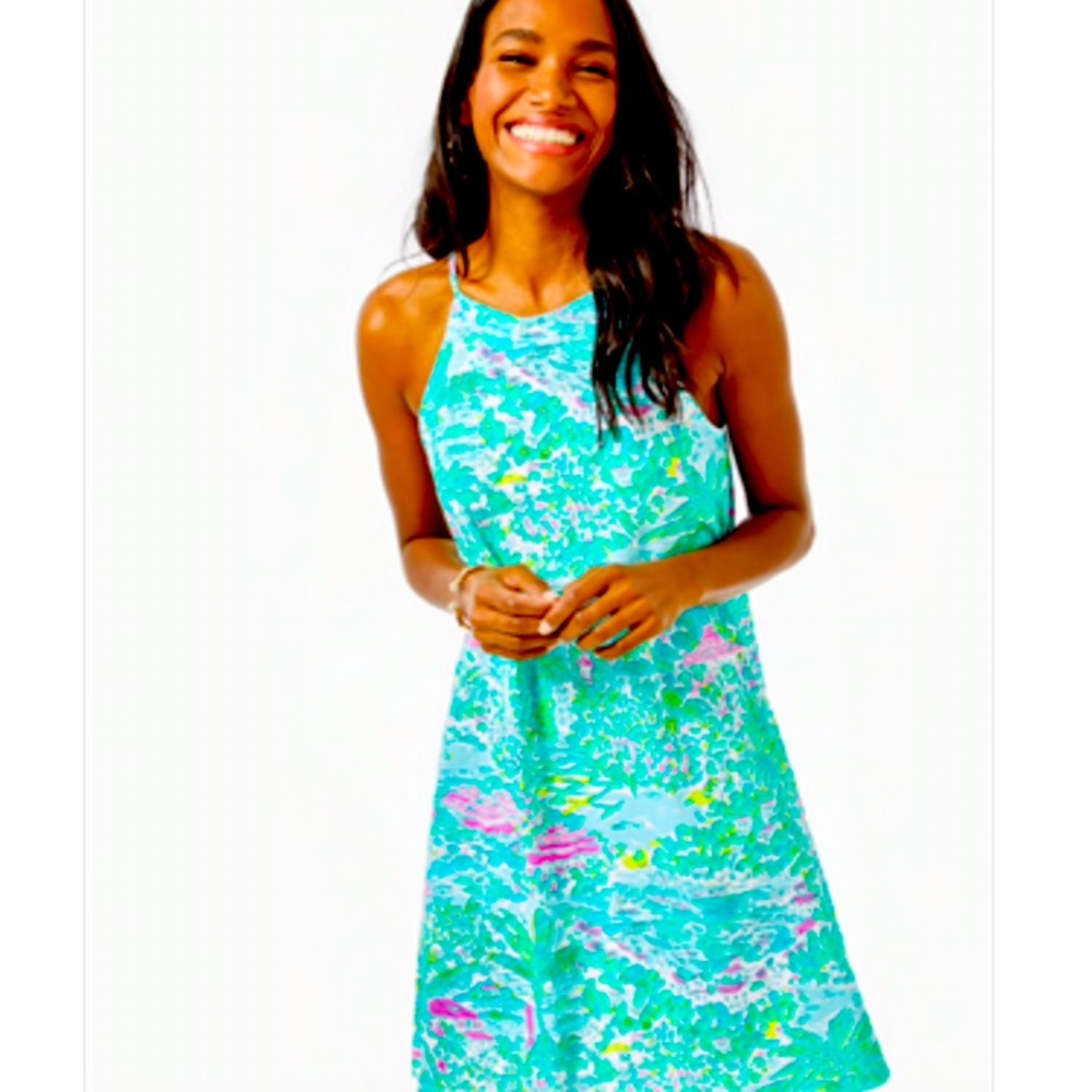 Lilly Pulitzer Margot Swing Dress